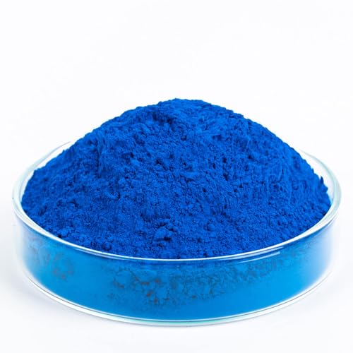 GOODTAKE Concrete Pigment, Blue Iron Oxide Pigment Powder, Concrete Cement Dye Color Coloring Powder for Brick, Tile, Clay, Lime, Mortar, Grout, Plaster, Paint,...