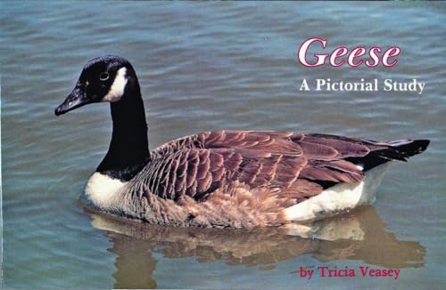 Geese: A Pictorial Study