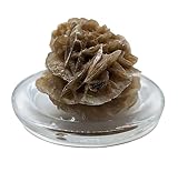 Heilkräuter Manufaktur