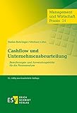 cashflow spiel kaufen  Cashflow und Unternehmensbeurteilung: Berechnungen und Anwendungsfelder für die Finanzanalyse (Management und Wirtschaft Praxis, Band 24)