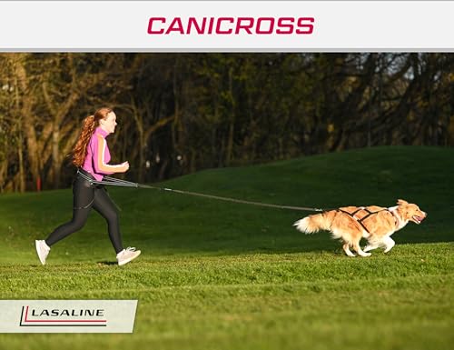 LASALINE Hunde Zuggeschirr X Back für Canicross Hundesport Dogscooter Bikejöring Schlitten in Schwarz Neongelb