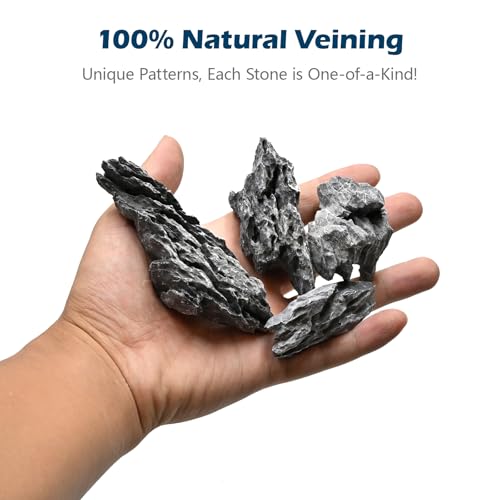 Image of Natural Rocks Seiryu Stone 1-2.5 Inches Decorative Stones for Fairy Gardens,Miniature Landscaping,Bonsai,DIY Crafts, Aquariums & Reptile Terrariums-1lb