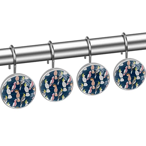 Crochets rideau de douche acier inoxydable accessoires salle de bain