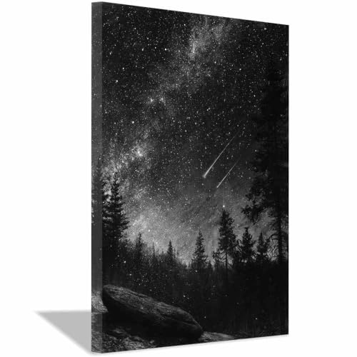 Affiche Noir et Blanc Forêt et Ciel Étoilé HOQIU 60x80cm Encadrée