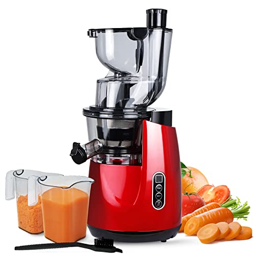 Top 10 Masticating Juicers For Home of 2022 Katynel