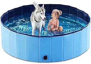 Piscina para cães, piscina dobrável para animais de estimação, piscina para animais de estimação, piscina infantil portátil para cães, gatos e crianças Azul 80x20cm (31x8 polegadas)