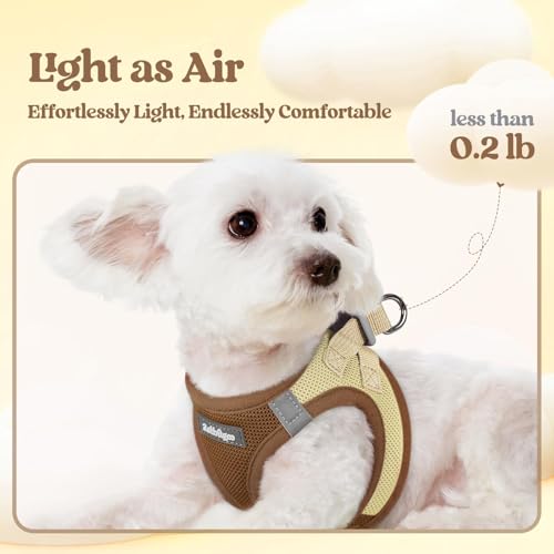 Image of rabbitgoo Dog Harness Small Sized and Leash Set, Step-in Puppy Pet Vest