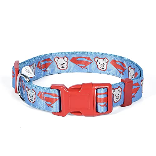 DC Comics League of Super-Pets Krypto Superman Dog Collar, Small | Officially Licensed DC League of Super-Pets Dog Collar | Small Dog Collar DC Krypto Super Dog Superman Style with D-Ring for Leash