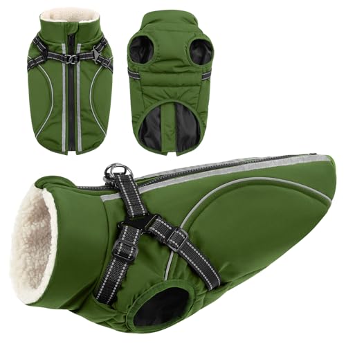 CITÉTOILE Cappotto Invernale per Cani Impermeabile - Giacca Termica Antivento con Foro Riflettente e Anello D, Adatto a Taglie Piccole/Medie/Grandi, Verde, S