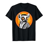 Adorable Lemur Enthusiast Nature Wildlife