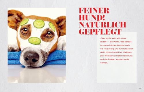 Oh Happy Dog!: Alles für ein glückliches, gesundes und nachhaltiges Hundeleben