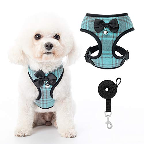 PUPTECK Small Dog Harness and Leash Set, Soft A-line Chest Strap with Bowite Bell, No Pull Dog Harness for Small Dogs Cats Puppies