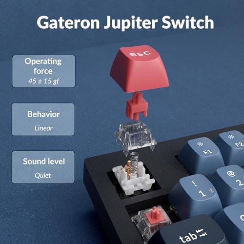 Image of Keychron V5 Max Custom Wireless Mechanical Gaming Keyboard with Number Pad, 96% Layout QMK /VIA 2.4 GHz /Bluetooth 5.1 /Wired, RGB Backlit Hot-Swappable Gateron Red Switch for Mac Windows Linux