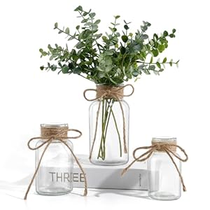 Vintage Glass Vases for Flowers, Set of 3 Clear Vases for Farmhouse Wedding Centerpiece Cylinder Bottle for Reception Table Decor Housewarming Birthday Floral Arrangements (S+M+L)