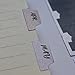 Monthly Tabs Adhesive Tabs Designer Accessories for Office Study Planners Organizations (Forest)