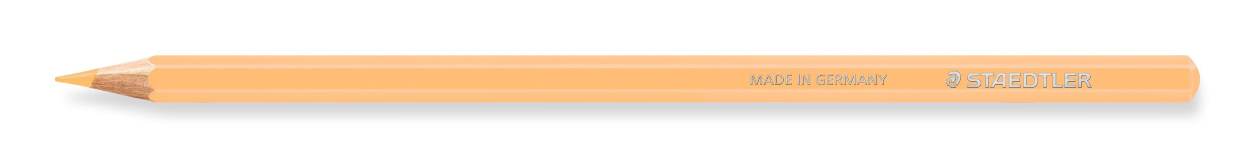 STAEDTLER Matite Colorate Design Journey - Grigio Chiaro, Mina Morbida E Pigmentata - Foto 5