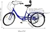 3 Wheels Cruiser Bike 7 Speeds Comfortable Trike,24 Inch Adult Tricycle Foldable with Shopping Basket for Seniors Adults Outdoor Sport with Backrest #1