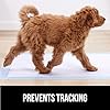 Gorilla Guard Disposable Puppy Pads, 5 Layer Pee Pads for Dogs, Absorbent Diaper Changing Pad, Dog Potty Training Supplies, Quick Dry Pet Housebreaking Essentials for Puppies, 50 Count 28x34 in #4