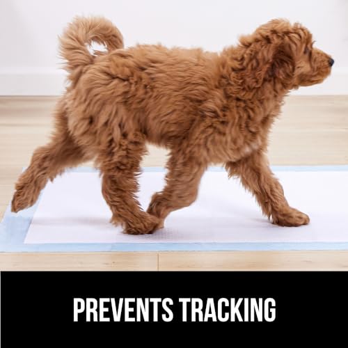 Image of Gorilla Guard Disposable Puppy Pads, 100 Count 22x22 in, 5 Layer Pee Pads for Dogs, Absorbent Diaper Changing Pad, Dog Potty Training Supplies, Quick Dry Pet Housebreaking Essentials for Puppies