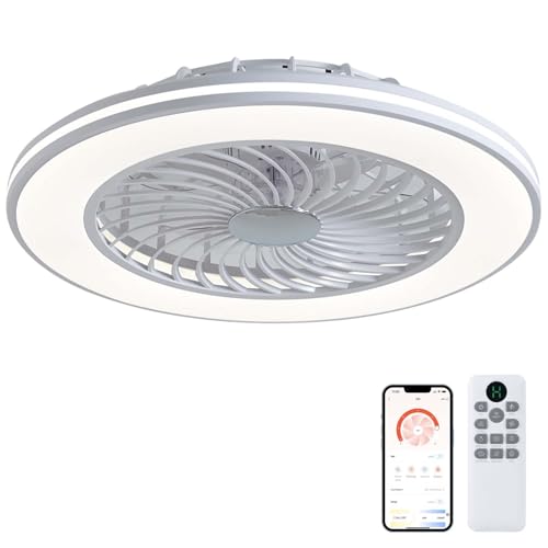 Luyaim Ventilador De Techo Con Luz Silencioso 60CM - Lámpara LED Regulable, 6 Velocidades, Temporizador, Motor DC, 42W, Ideal Para Dormitorios, Salas Y Habitaciones Infantiles