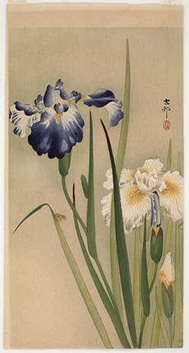 Deux canards Ohara Koson poster toile pour apaiser votre intérieur