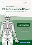 Ich kenne meinen Körper - Skelett, Muskeln und Wirbelsäule: Schülerarbeitsheft für die 3. bis 6. Klasse mit Sachtexten zum sinnerfassenden Lesen und selbstständigen Erarbeiten (Mein Sternchenheft)