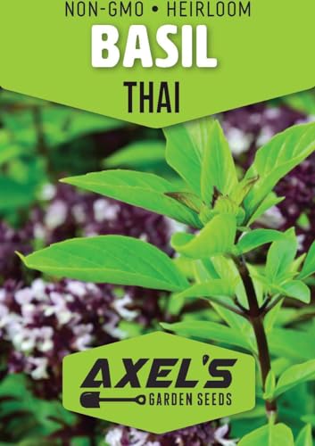 Thai Basil Seeds for Planting - 750 Heirloom Non GMO Herb Seeds - Plant Indoor/Outdoor or Hydroponics - Image 2