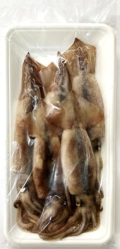 【冷凍釣りえさ】冷凍スルメイカ ５匹入 釣りエサ用スルメイカ