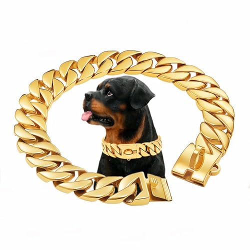 Collier étrangleur pour chien robuste et antirouille avec fermoir de sécurité - 5