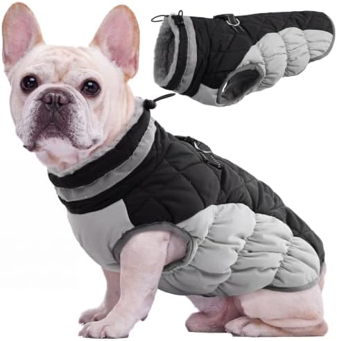 Kuoser Hundemantel Wasserdicht Warm Hundejacke für Mittelgroße Hunde, M | Wasserdichter Wintermantel Hund, Warme Hunde Winterjacke mit Reißverschluss, Reflektoren, D-Ring und verst