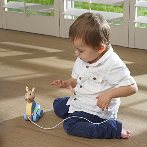 Image of Orange Tree Toys Peter Rabbit Pull Along