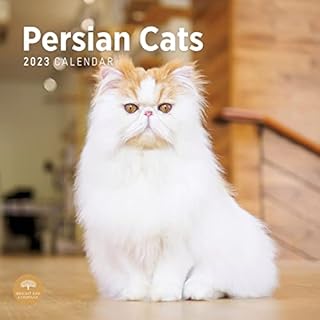 2023 Persian Cats Monthly Wall Calendar by Bright Day, 12 x 12 Inch, Cute Kitty Kitten