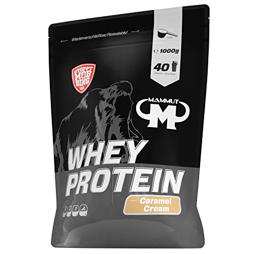 Whey Protein - Caramel Cream - 1000 g Zipp-Beutel