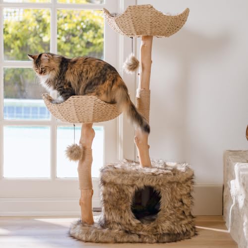 Image of Mau - Modern Cat Tree Tower, Real Branch Wood Condo for Large Cats