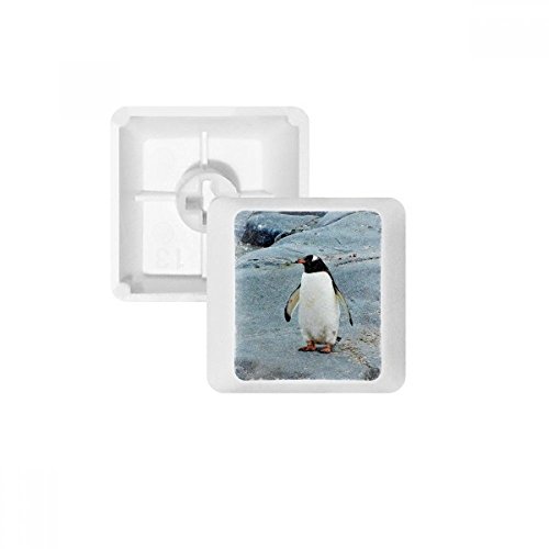 Keycaps PBT Antarctique pour clavier mécanique : l'esprit de la nature polaire en touches oem