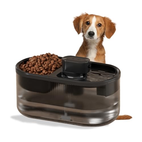 Smart 4.5L Pet Water Fountain: Automatic Dispenser with Quiet Pump