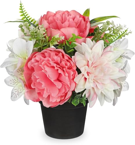 Villa Como    dp ~ ފ 25CM A[gt[ ͂Ȃ CeA A _A S O (sNEO)