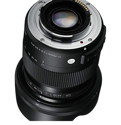 Sigma 14-24mm lens