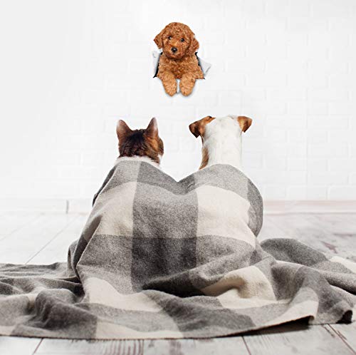 Winston & Bear 3D Dog Stickers - 2 Pack - Red Poodle For Wall, Fridge, Toilet And More - Retail Packaged Poodle Dog Stickers #TOP3