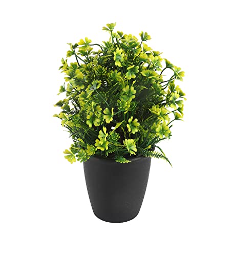 Image of Foliyaj Artificial Plant in Black Pot and Yellow Daisy Flowers for Interior Decor | Faux Plant for Desks, Shelves and Side Tables for Your Home and Office | Fake Plants for Indoor Decoration