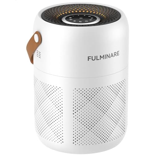 FULMINARE Air Purifiers for Bedroom, H13 True HEPA Air Purifiers for Home, Pets, Office, Quiet Small Air Filters with Timer Sleep Mode Speeds Control Night Light