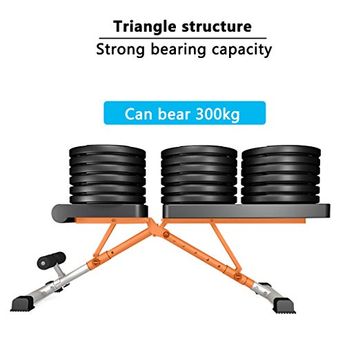 DFANCE Folding Weight Bench, Adjustable Weight Lifting Bench for Full Body Workout, Home Gym Physionics Incline Decline Bench for Lifting Fitness Bench Press Bar and Weights