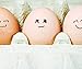 Cornucopia Brands Cardboard Egg Cartons (18-Pack); Each for One Dozen, Eco-friendly Recycled Material Biodegradable 12-count Egg Cartons w/Labels