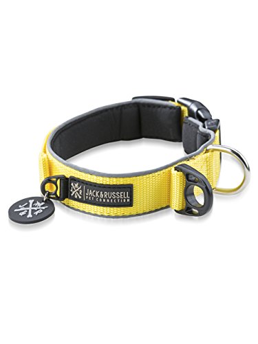 Jack & Russell Premium Collare Riflettente e Neoprene Imbottito per Cani di Varie Dimensioni e Colori (Circonferenza del Collo L (43-58 cm), Giallo)