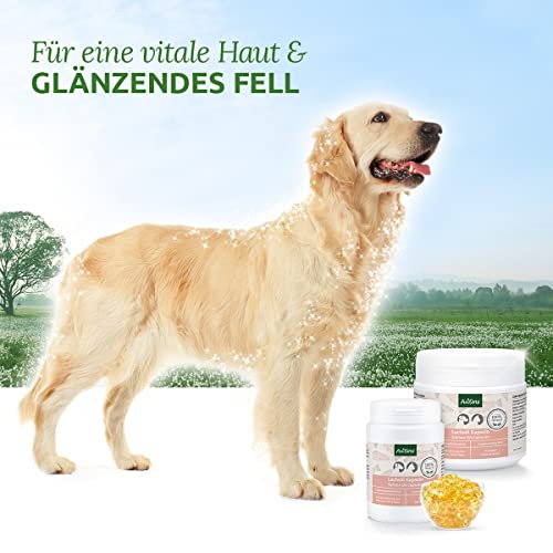 AniForte-Salmon-Oil-Capsules-for-Dogs-and-Cats--Valuable-Omega-3-Fish-Oil-Supporting-Metabolism-and-Bone-Building-Barf-Supplement-Shiny-Fur-Vitamins-Salmon-Oil-for-Dogs