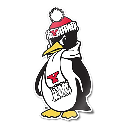 Desert Cactus Youngstown State University Sticker YSU Penguins Vinyl Decal Laptop Water Bottle Car Scrapbook (IND 00002)