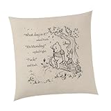 Sarcastic Winnie the Pooh and Piglet Cushion Natural - SKETCH Novelty Cute Sweet Funny Rude Swear Quote Monday Best Friend Pig Bear Home Gifts Presents (Cushion Cover)