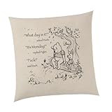 SMARTYPANTS Sarcastic Winnie the Pooh and Piglet Cushion Natural - SKETCH Novelty Cute Sweet Funny Rude Swear Quote Monday Best Friend Pig Bear Home Gifts Presents (Cushion Cover)