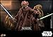 Hot Toys Star Wars: The Clone Wars Plo Koon 1/6 Scale 12