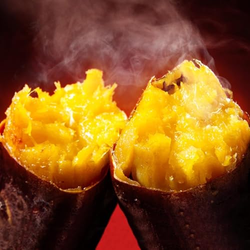 yx40xz n g͂邩 Ⓚ Ă 1kg Y 󂠂 sTCY Y ˂Ƃ Â ܂ [F̌b]